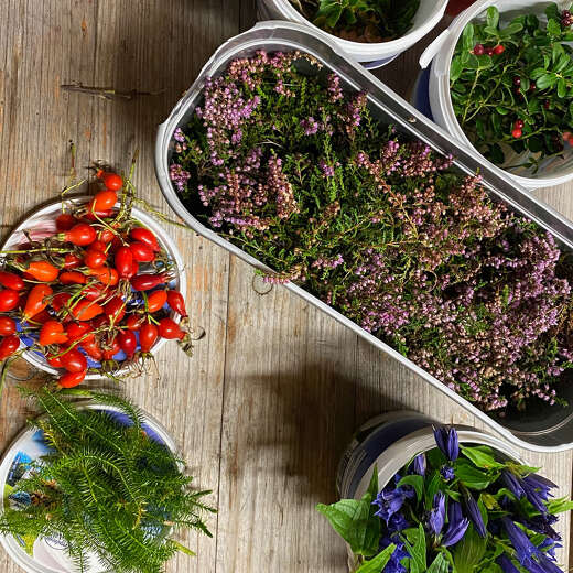 Zum Viehscheid werden Blumenkränze für die Tiere hergestellt