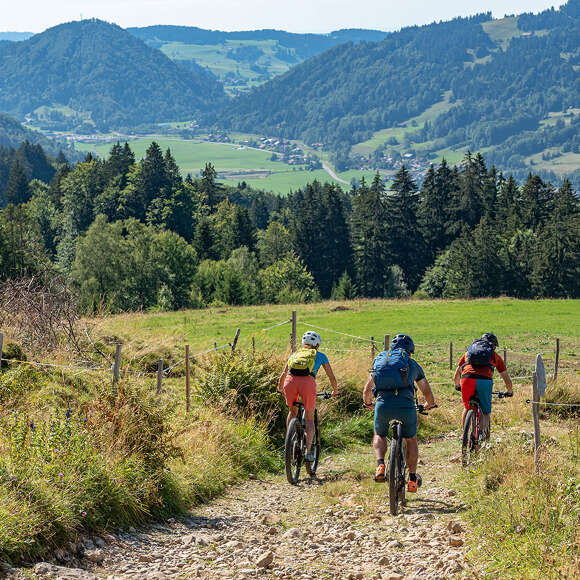 Abfahrt auf einer MTB-Runde in den Bergen von Oberstaufen mit Weitblick