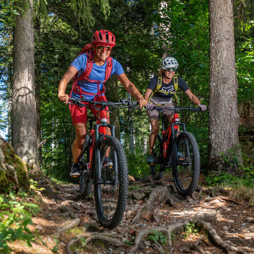 Mit dem MTB über Stock und Stein auf den Trails bei Oberstaufen