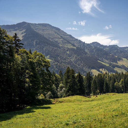 Blick auf den Hochgrat und die westliche Nagelfluhkette aus dem Ehrenschwanger Tal.