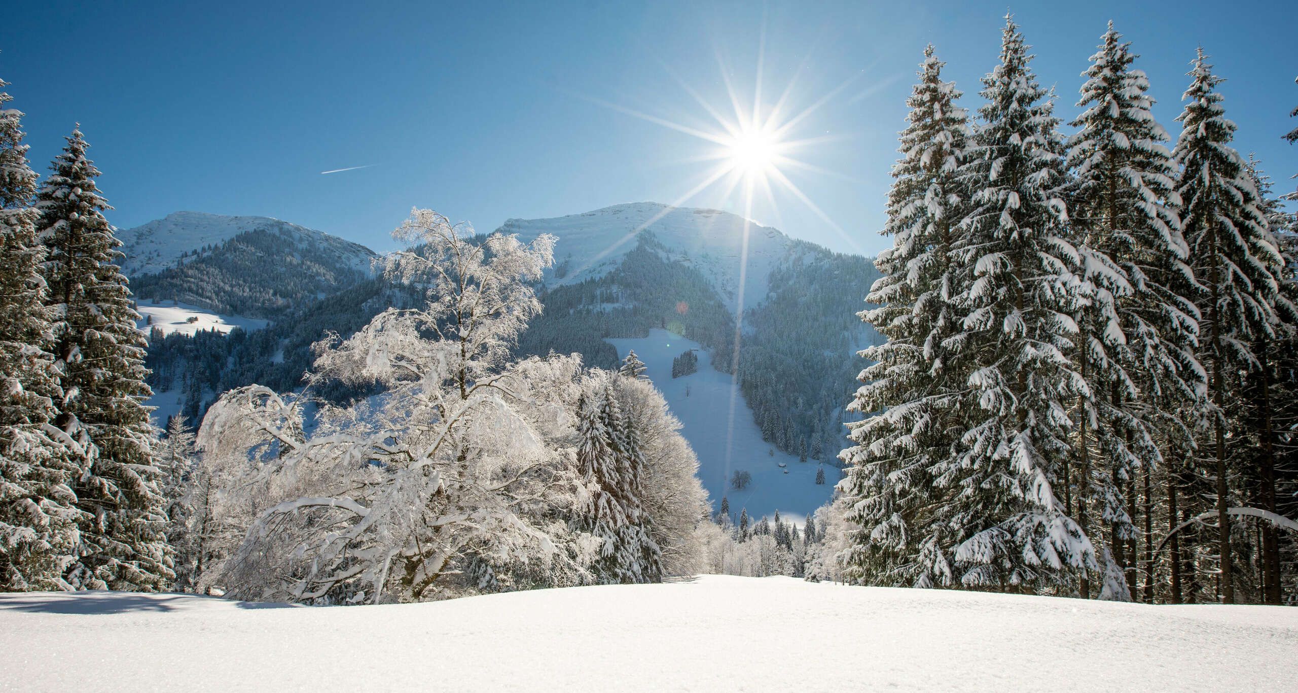 Schneebedeckte Landschaft vor dem Hochgrat im Winter