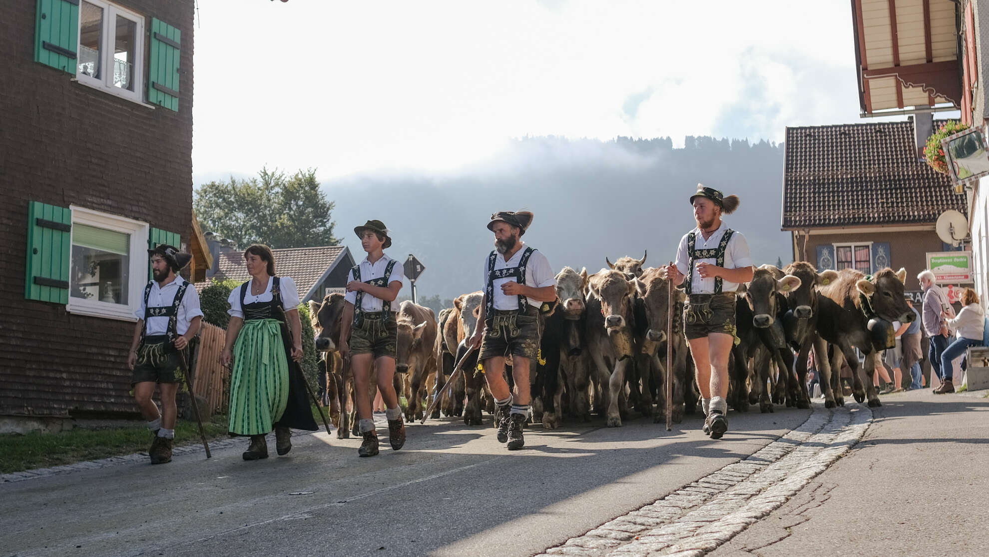 Genieße den Allgäuer Brauchtum beim traditionellen Viehscheid.