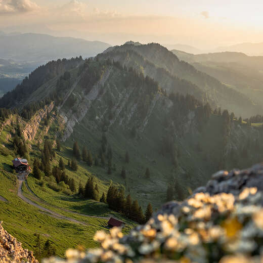 Bergpanorama der westlichen Nagelfluhkette im Sonnenuntergang