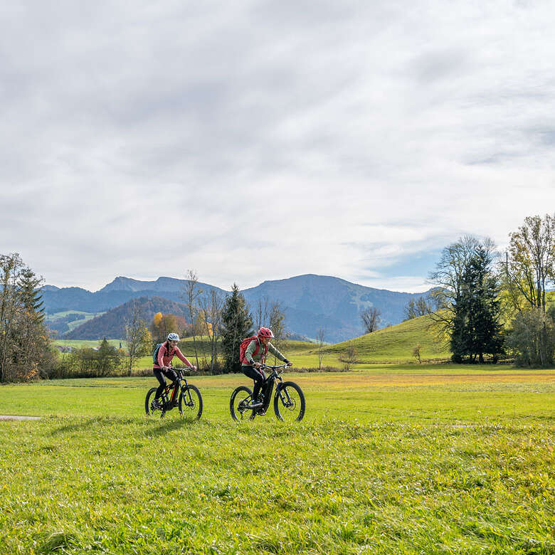 Radfahren in herbstlicher Natur bei Oberstaufen mit Bergpanorama.