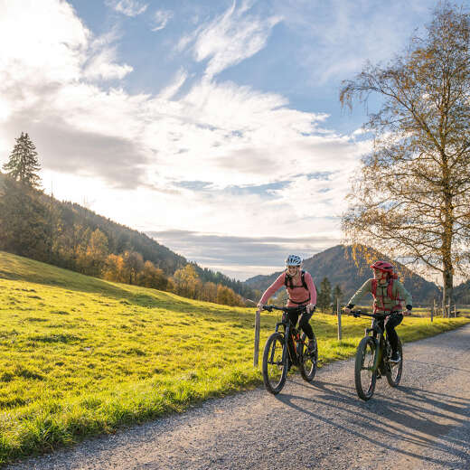 Radtour im Herbst auf den naturnahen Radwegen von Oberstaufen nach Thalkirchdorf