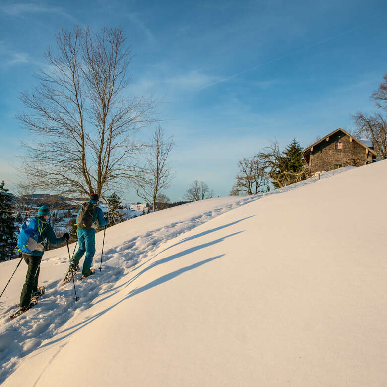 Schneeschuhwanderung zu einer Berghütte in der verschneiten Landschaft von Oberstaufen.