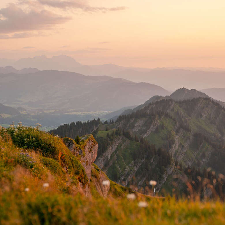 Panorama der Nagelfluhkette, Allgäuer und Schweizer Alpen in Abendstimmung im Sommer.