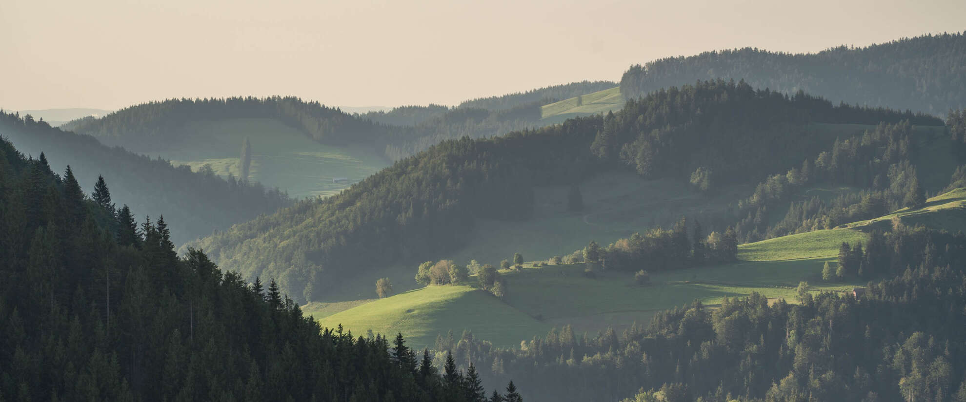 Bergwald bei Juget und Kalzhofer Höhe in Oberstaufen