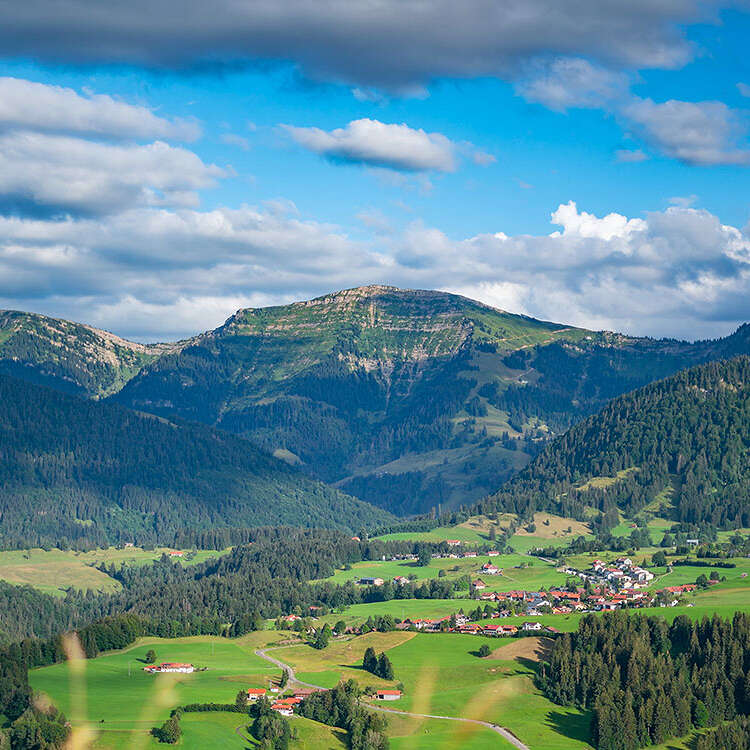 Ausblick auf Steibis und den Hochgrat im Sommer