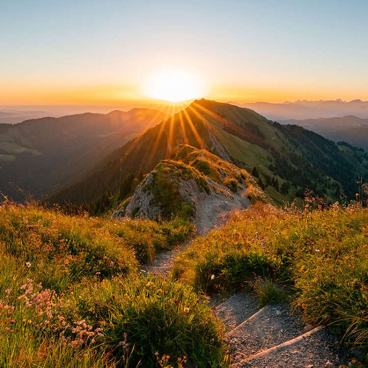 Wanderweg auf der Nagelfluhkette im Sonnenaufgang mit Panorama der Allgäuer Alpen