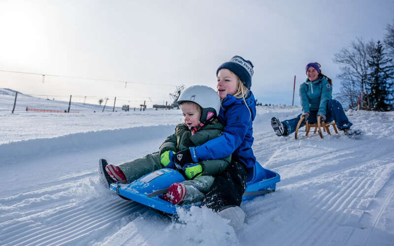 Familie beim Rodeln in Sinswang bei Oberstaufen