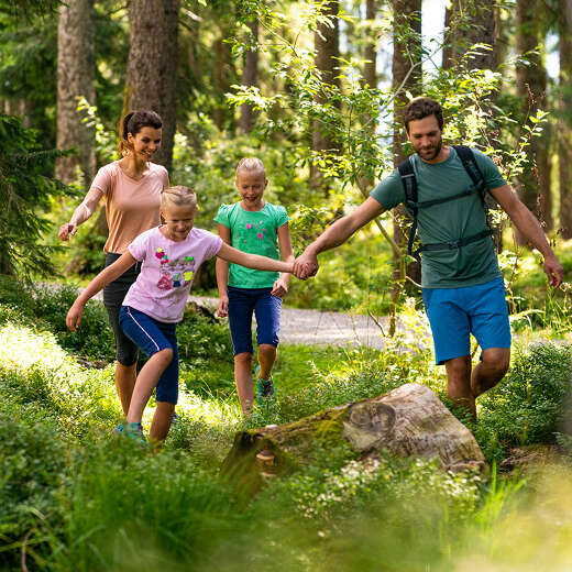 Familie wandert im Wald im Sommer