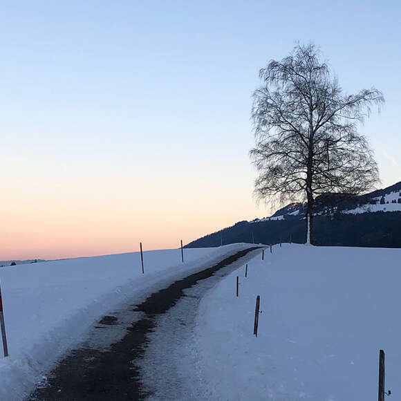 Geräumter Wanderweg im Winter zwischen Hündle und Thalkirchdorf.