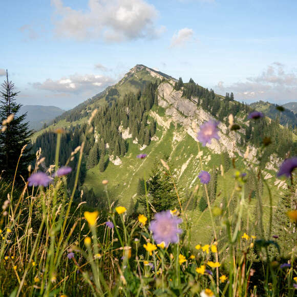 Ausblicke auf der Wanderung über den luftigen Grat im Allgäu