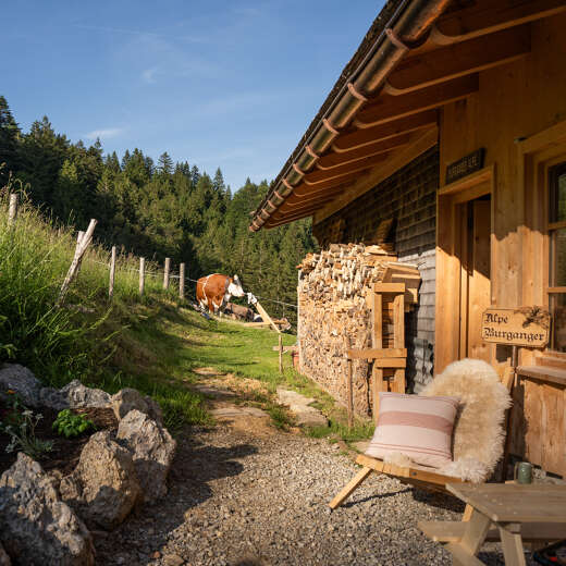 Alpe im Allgäu