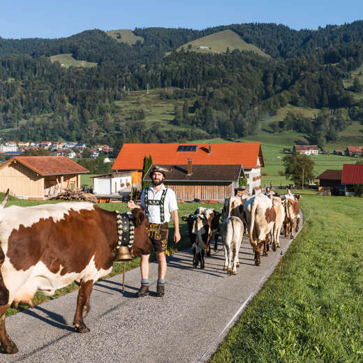 Viehscheid Thalkirchdorf im Allgäu