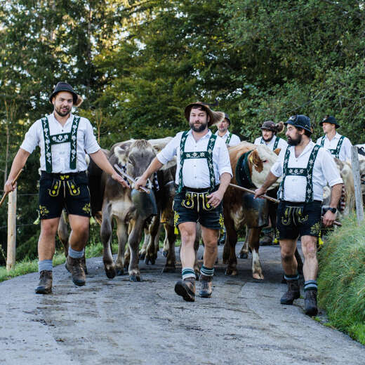 Viehscheid Thalkirchdorf im Allgäu