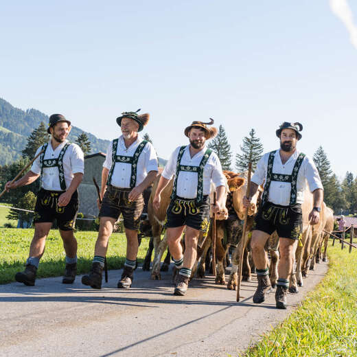 Viehscheid Thalkirchdorf im Allgäu