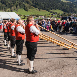 Viehscheid Thalkirchdorf im Allgäu