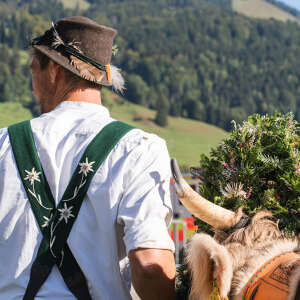 Viehscheid Thalkirchdorf im Allgäu