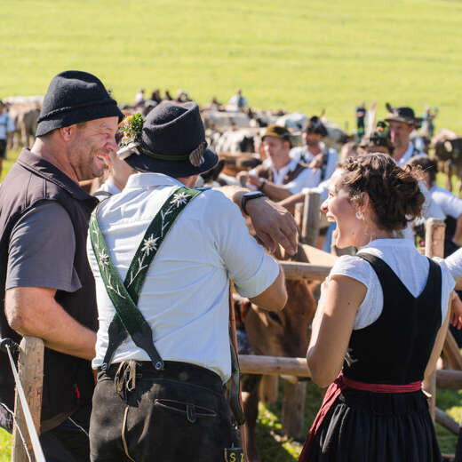 Hirten bei ihren Tieren in den Einschlägen beim Viehscheid Thalkirchdorf.