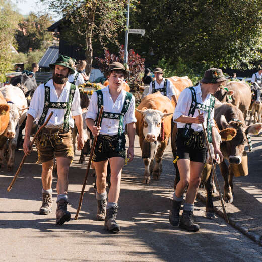 Viehscheid Thalkirchdorf im Allgäu