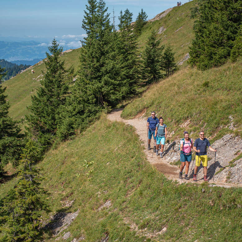 Wandern im Hochgratgebiet mit Panoramablick auf die Allgäuer Alpen.