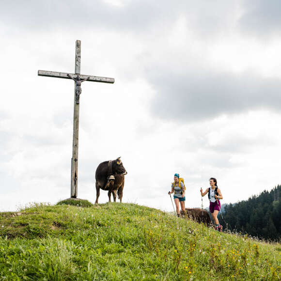 Wanderer wandern über eine Kuhweide zu einem Gipfelkreuz im Wandergebiet Oberstaufen.