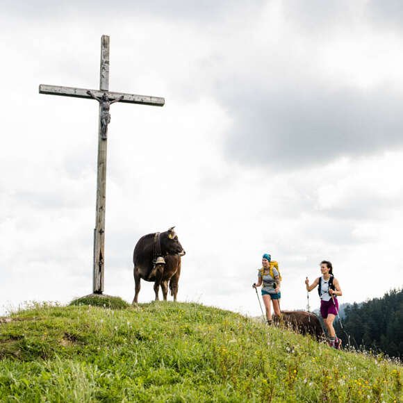 Wanderer wandern über eine Kuhweide zu einem Gipfelkreuz im Wandergebiet Oberstaufen.