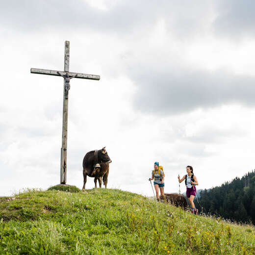 Wanderer wandern über eine Kuhweide zu einem Gipfelkreuz im Wandergebiet Oberstaufen.