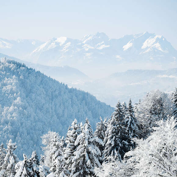 Ausblick auf den verschneiten Staufen und Natur um Oberstaufen mit Alpenpanorama