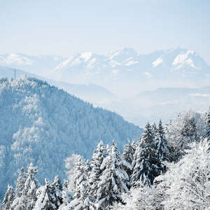 Ausblick auf den verschneiten Staufen und Natur um Oberstaufen mit Alpenpanorama