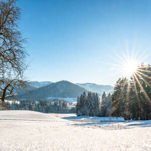 Glitzernder Schnee in der Wintersonne mit dem Staufen und Bergpanorama