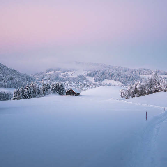 Blaue Stunde in verschneiter Winterlandschaft und Blick auf Oberstaufen