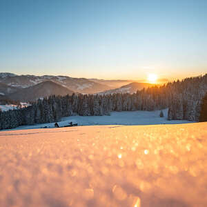 Schneelandschaft um Oberstaufen mit Berpanorama im Sonnenuntergang