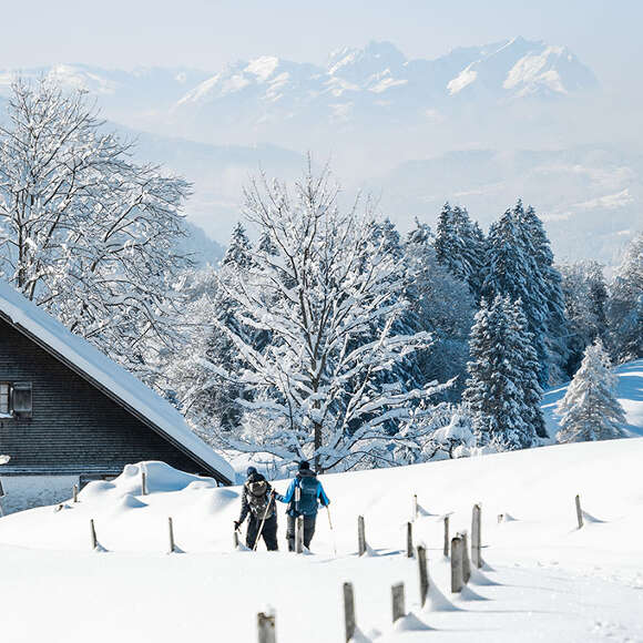 Schneeschuhwandern in der verschneiten Natur von Obstaufen mit Weitblick in die Schweizer Alpen.