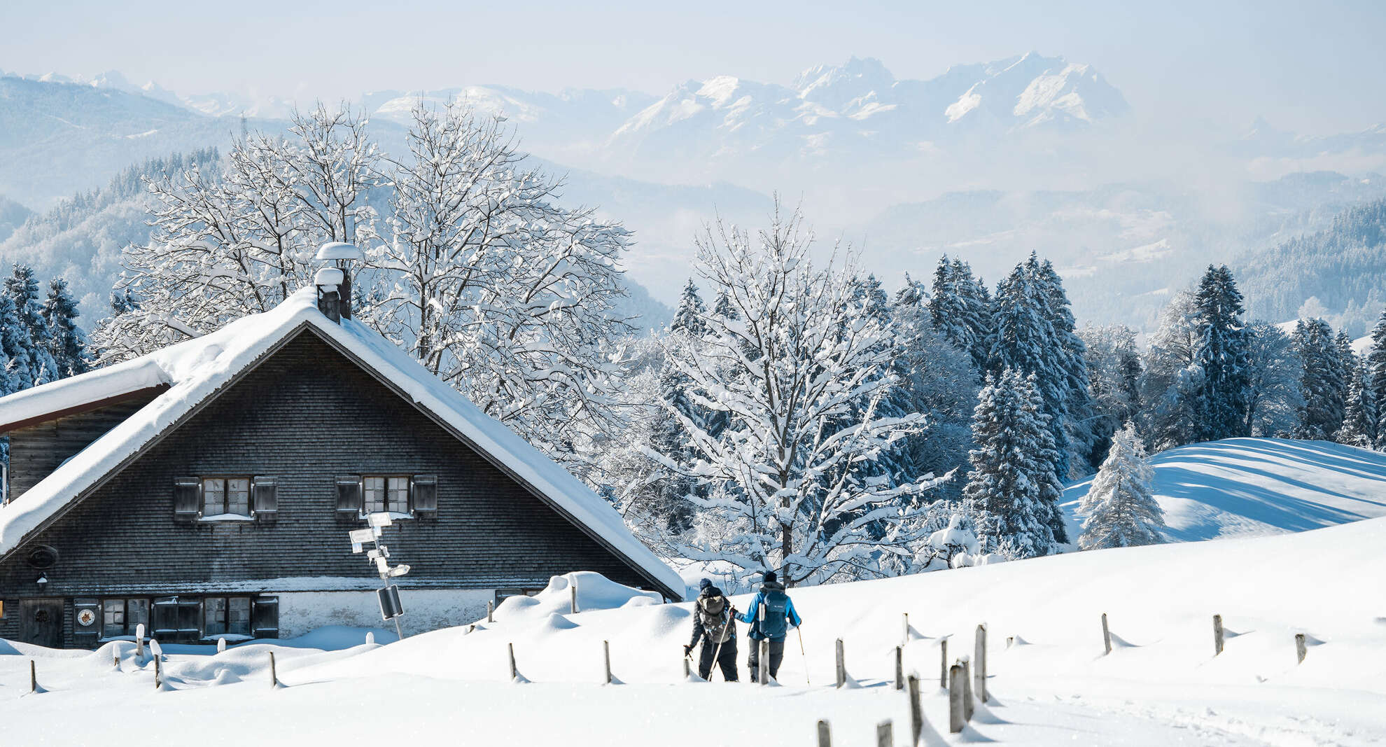 Schneeschuhwandern in der verschneiten Natur von Obstaufen mit Weitblick in die Schweizer Alpen.