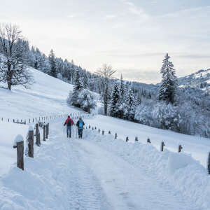 Schneeschuhwandern durch das verschneite Ehrenschwanger Tal.