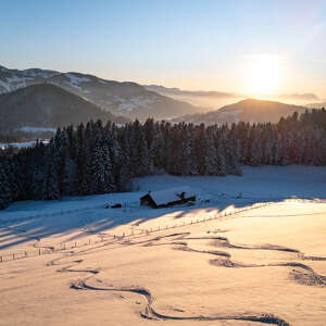 Skispuren im Tiefschnee mit Bergpanorama von Oberstaufen im Sonnenuntergang.