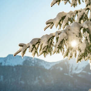 Im verschneiten Winterwaald unterwegs mit Aussicht auf die Nagelfluhkette im Winter.