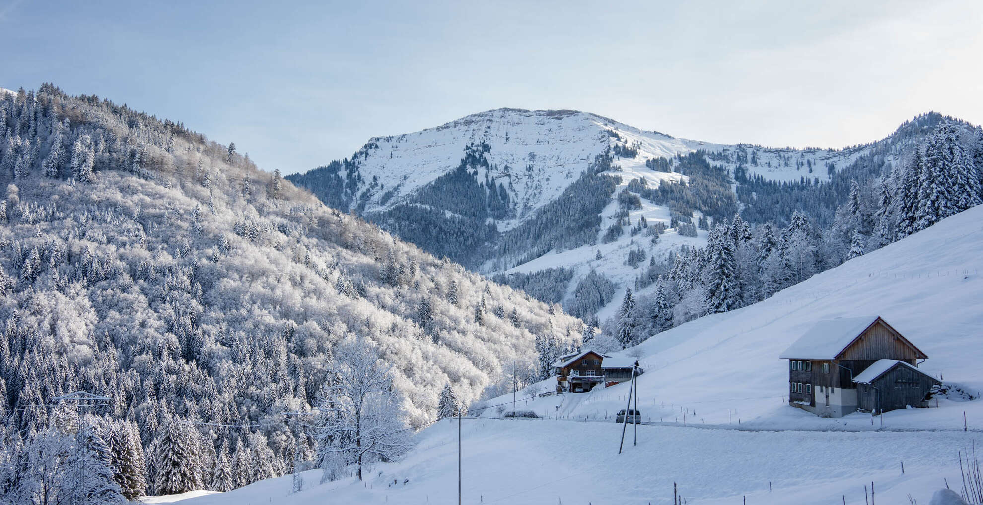 Blick auf den verschneiten Hochgrat in weißer Natur.