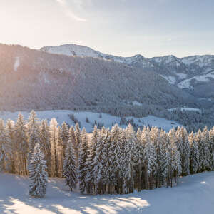 Winterlandschaft mit verschneitem Panorama der verschneiten Berge um Oberstaufen