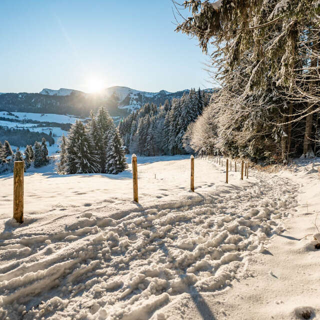 Spuren in der verschneiten Natur mit Weitblick über die weiße Natur und die Berge von Oberstaufen an einem sonnigen Wintertag.