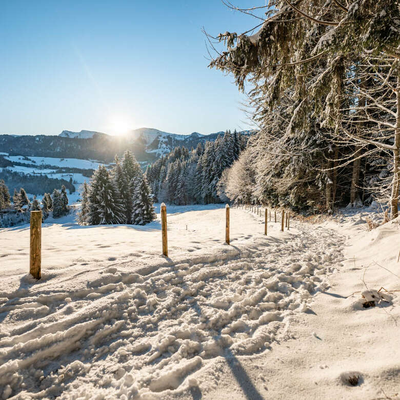 Spuren in der verschneiten Natur mit Weitblick über die weiße Natur und die Berge von Oberstaufen an einem sonnigen Wintertag.