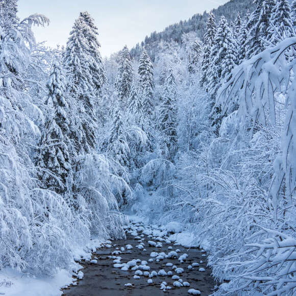 Bachlauf im verschneiten Winterwald