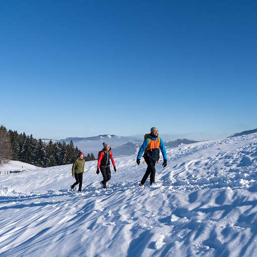 Winterwandern über die verschneiten Wiesen bei Oberstaufen in der Wintersonne.