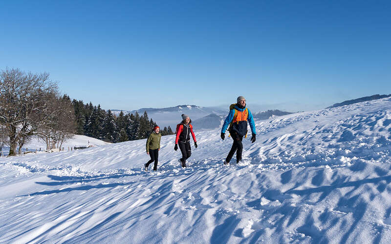 Winterwandern über die verschneiten Wiesen bei Oberstaufen in der Wintersonne.