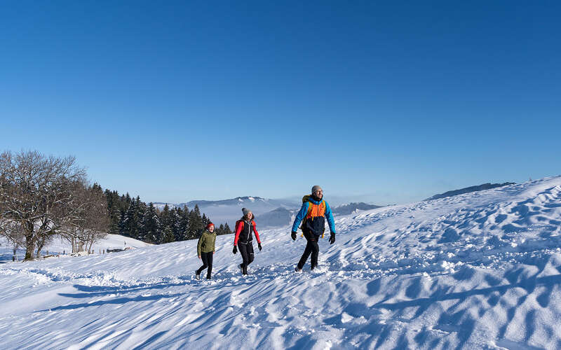 Winterwandern über die verschneiten Wiesen bei Oberstaufen in der Wintersonne.