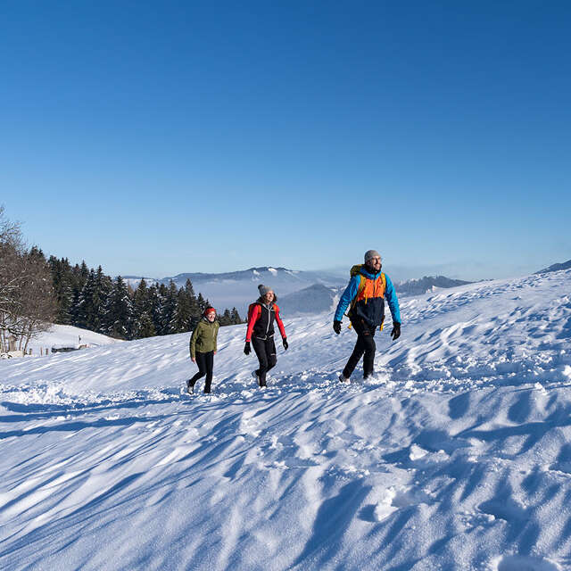 Winterwandern über die verschneiten Wiesen bei Oberstaufen in der Wintersonne.