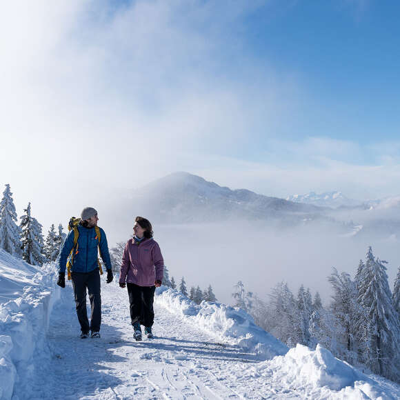 Winterwandern am Hündle in der Wintersonne mit Ausblick auf die verschneite Natur